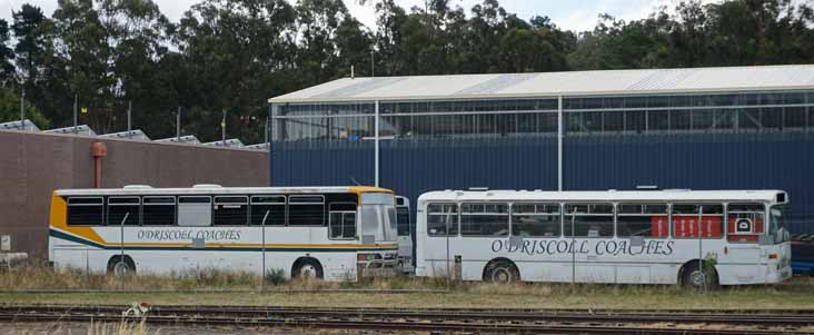 O'Driscoll Coaches Spartan TB275 Custom 23 Leyland Tiger PMC